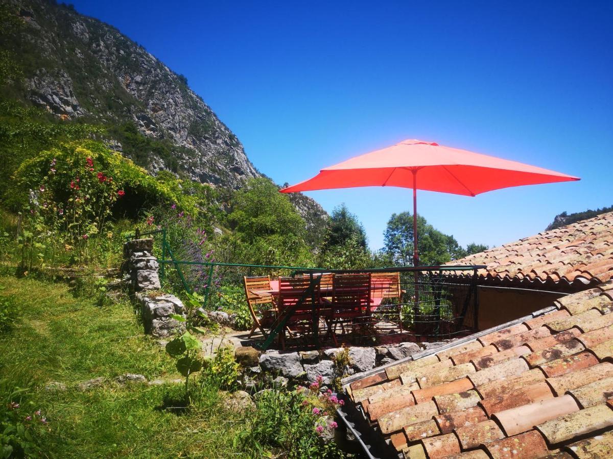 La Maison Sous Le Chateau Montségur Eksteriør bilde
